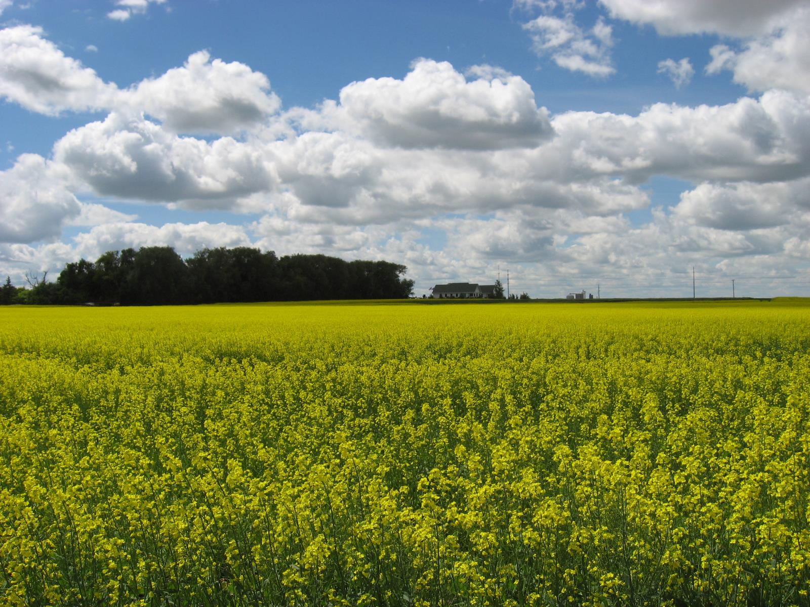 The 2026 North... - NDSU Extension Crop and Pest Report | Facebook