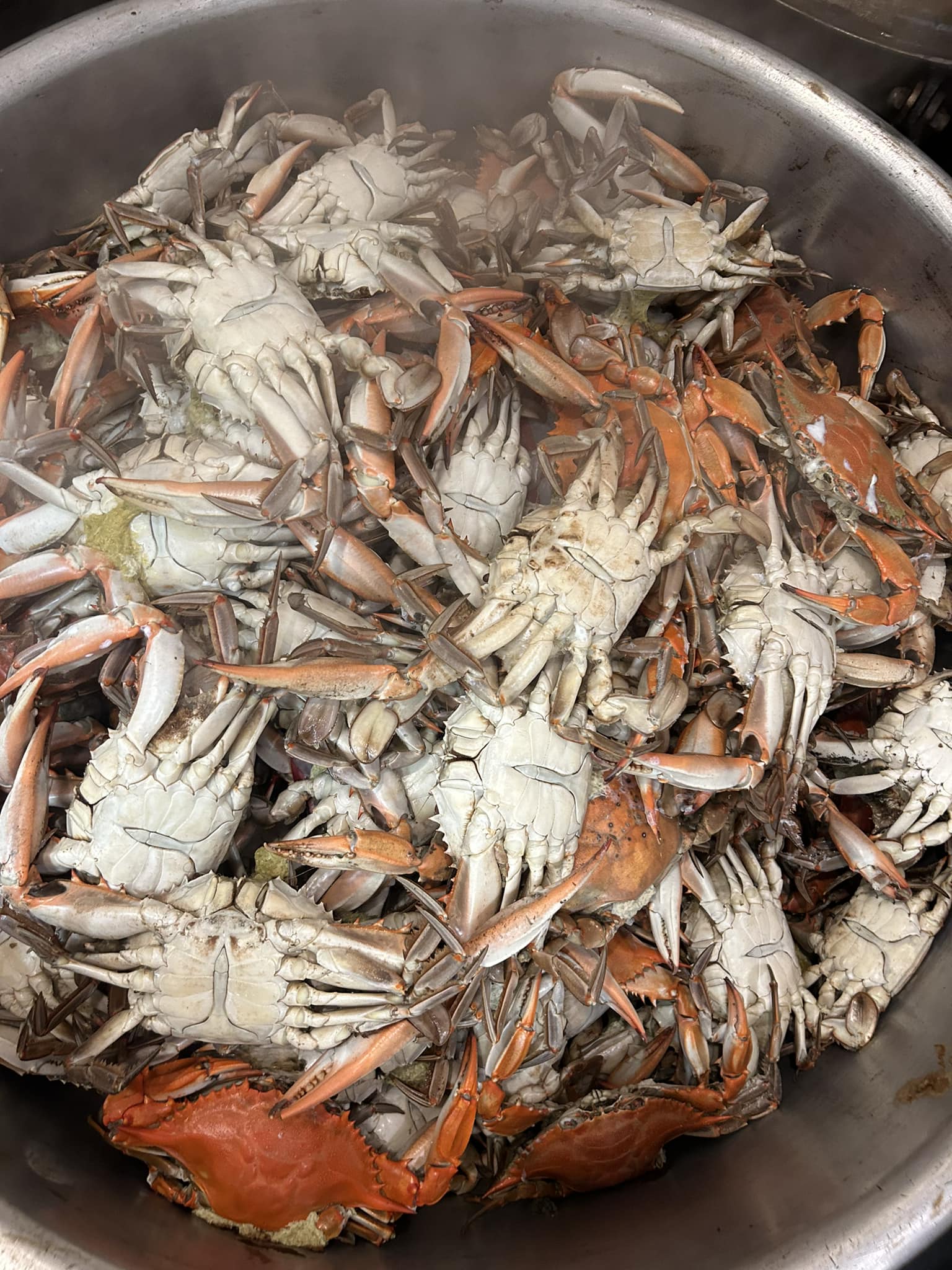 All you can eat blue... - Hilltop Crab House Restaurant & Bar