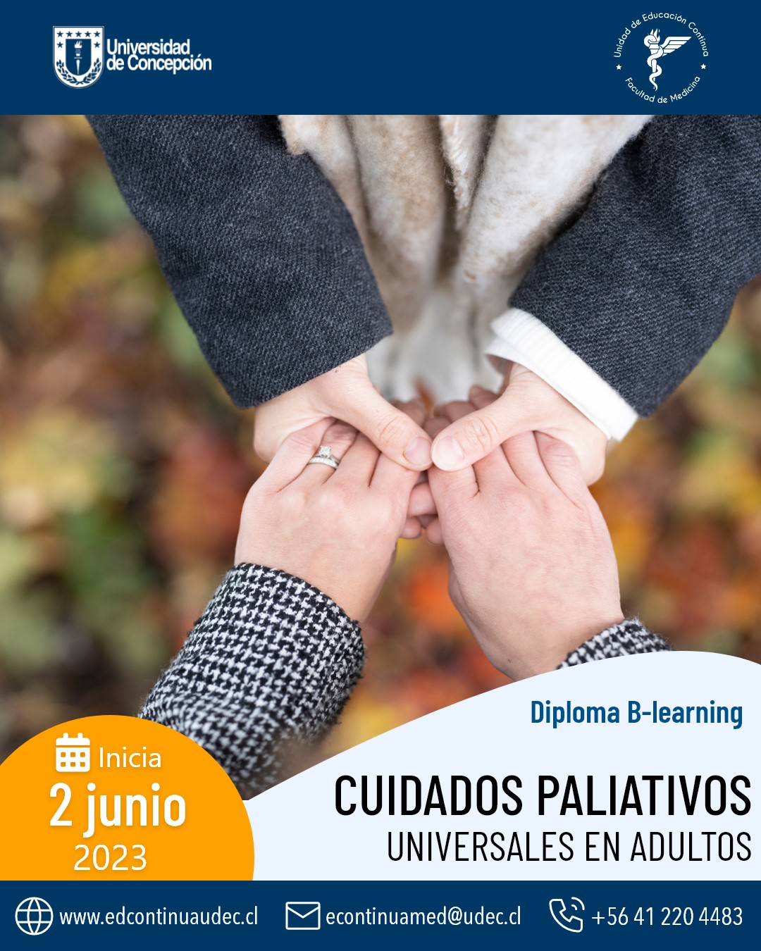 ALCP - La Universidad de Concepción, Chile, ofrece el... | Facebook