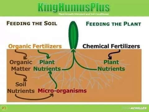 Agro Profits: King Humus Plus And Humivet Africa