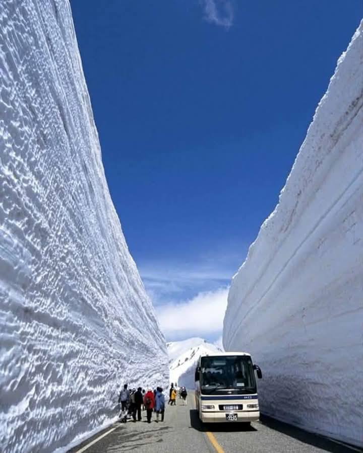 The famous Snow Corridor (a.k.a Yuki no Otani) in Toyama, Japan 🇯🇵