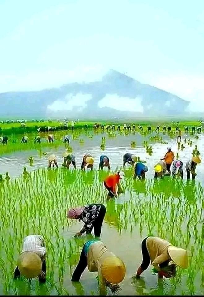 Nhóm Kín PONG - Share Ảnh Clip Đặc Biệt | Facebook