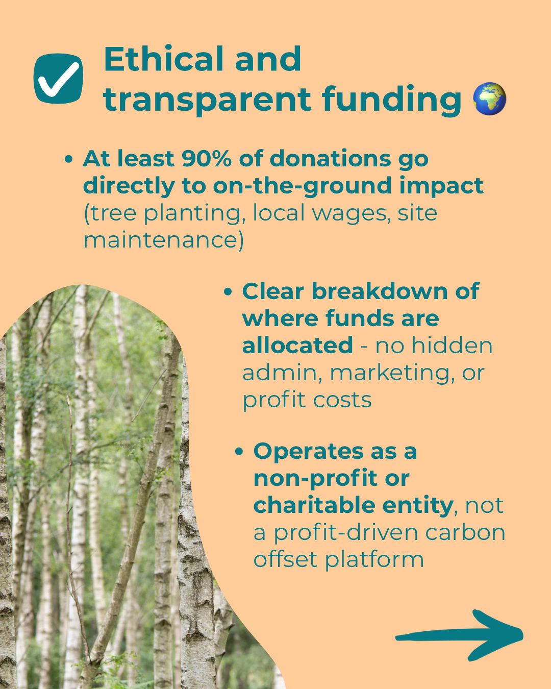 The Greener Earth Project