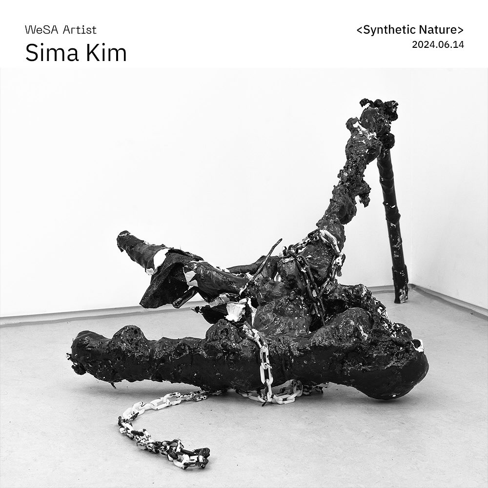 WeSA - News 위사 아티스트 Sima Kim이 새 앨범 을...