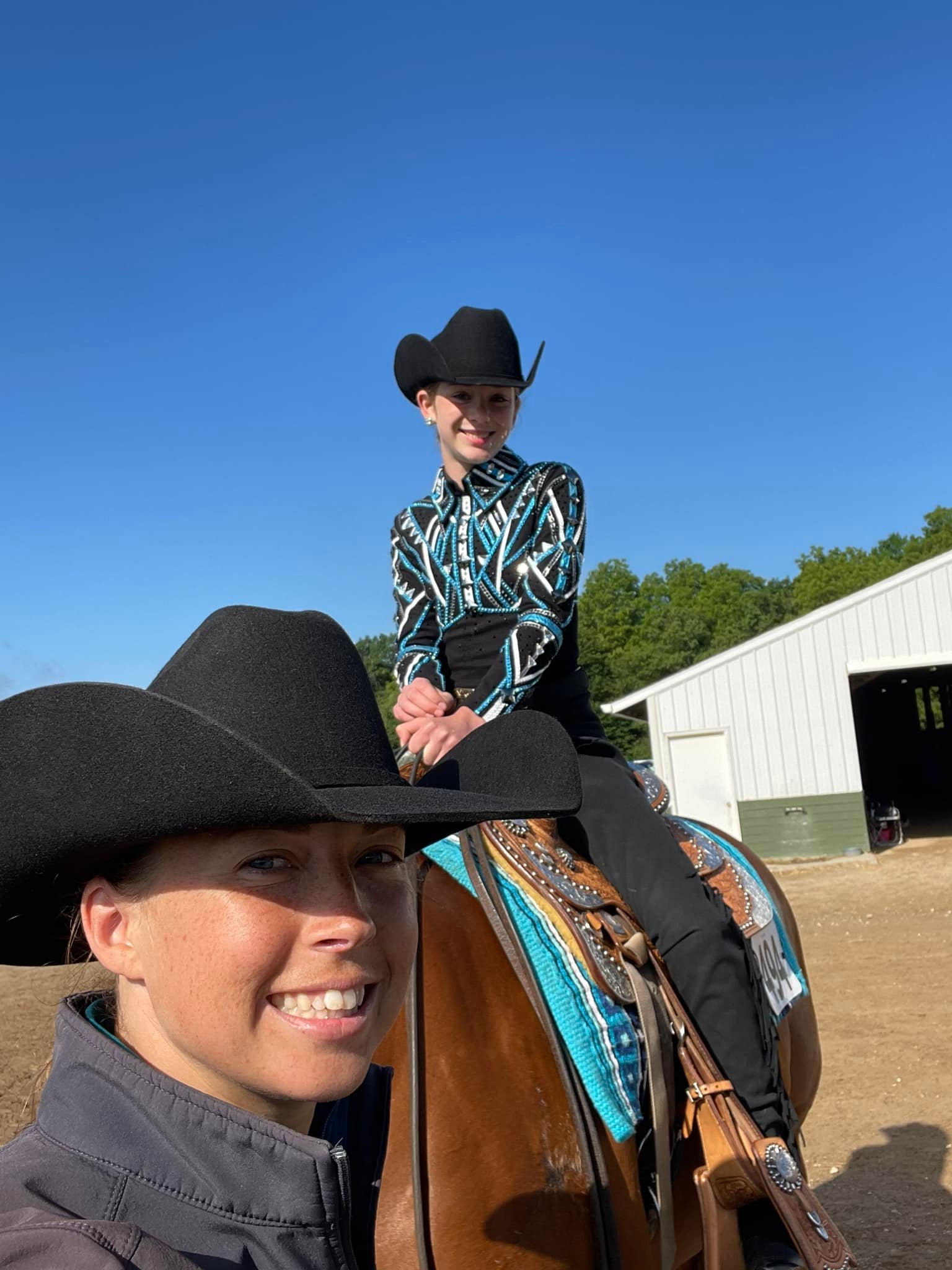 Provost Show Horses | Mattawan MI