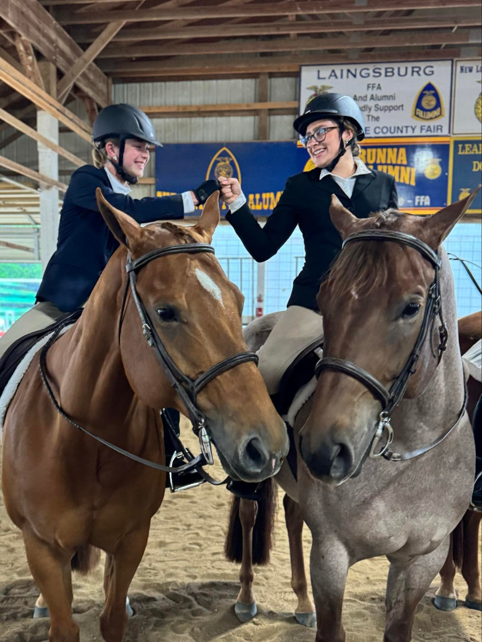 Provost Show Horses | Mattawan MI