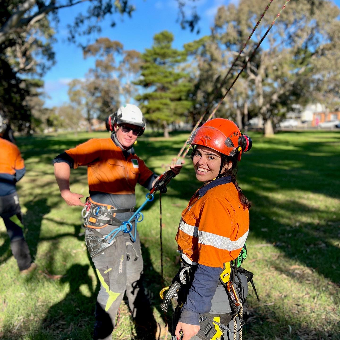 Aspect Tree Management