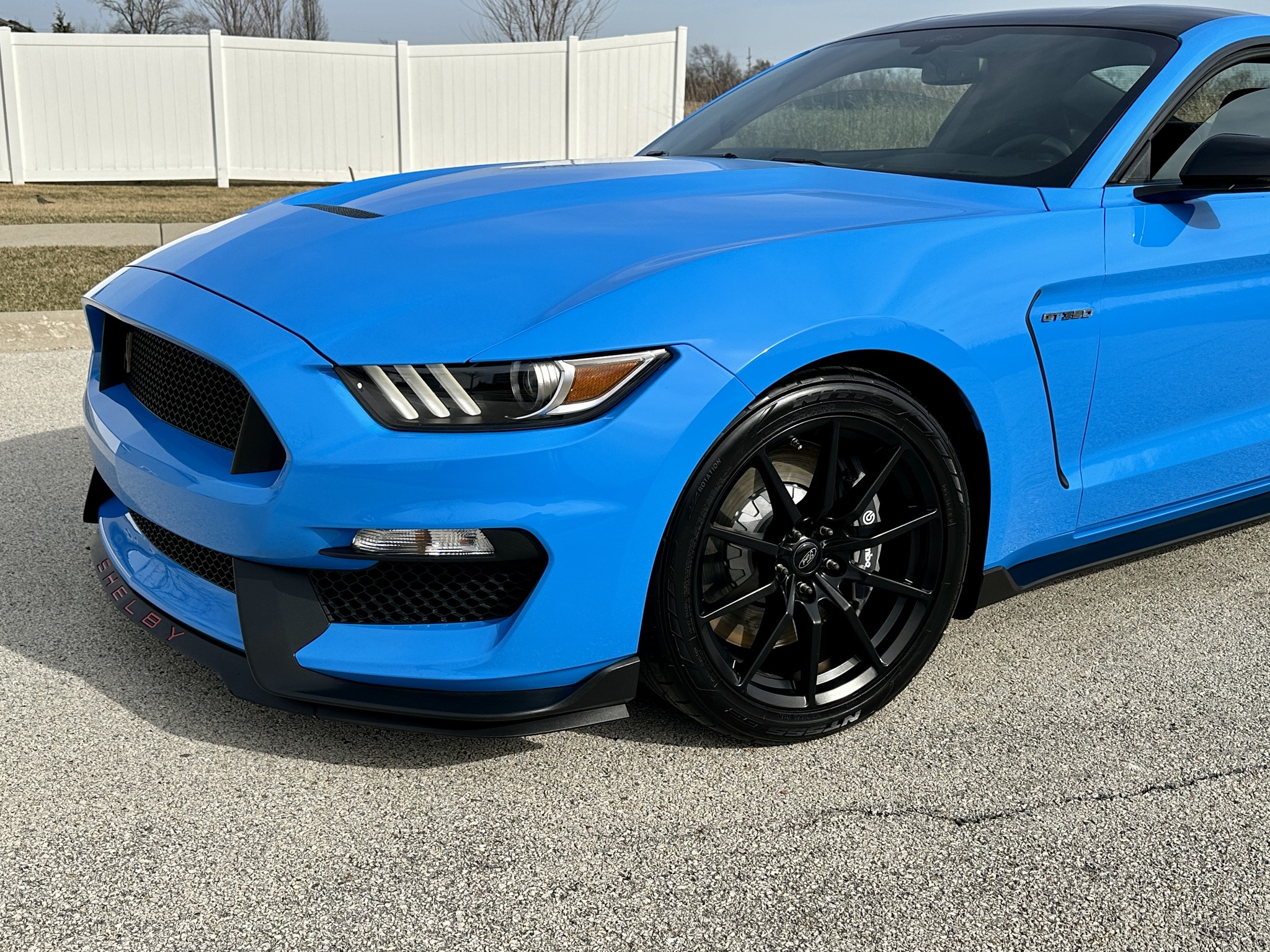 2017 Grabber Blue GT350 | Buy & Sell | Facebook
