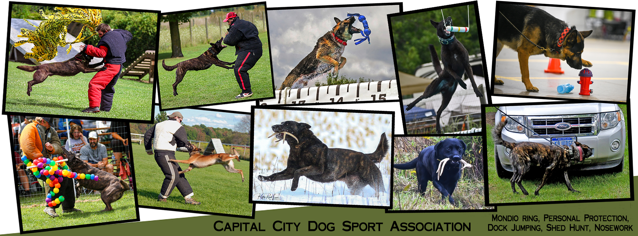 Capital City Dog Sport Association | Saint Johns MI