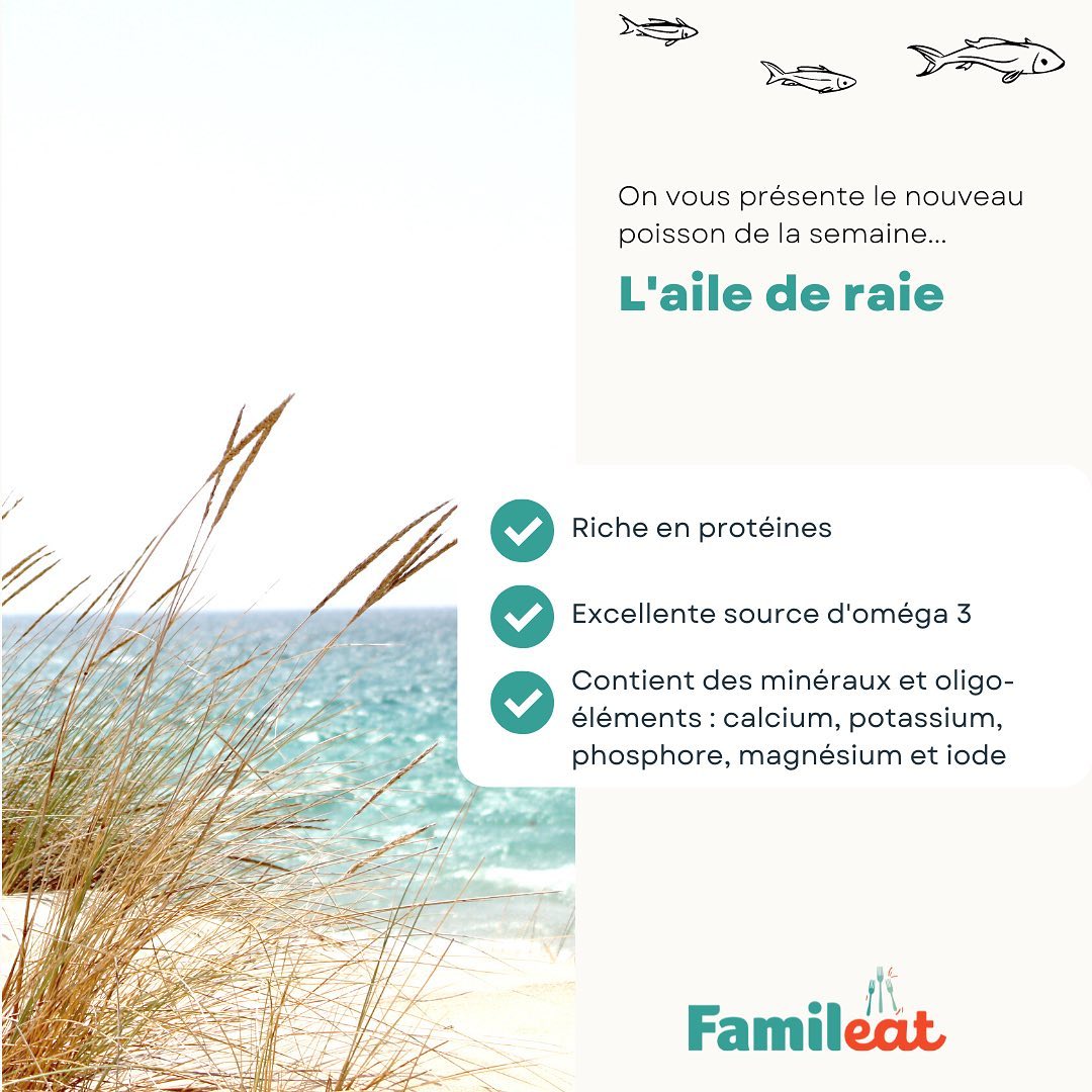 Famileat - Aile de raie 🎣 Voici un nouveau poisson cette...