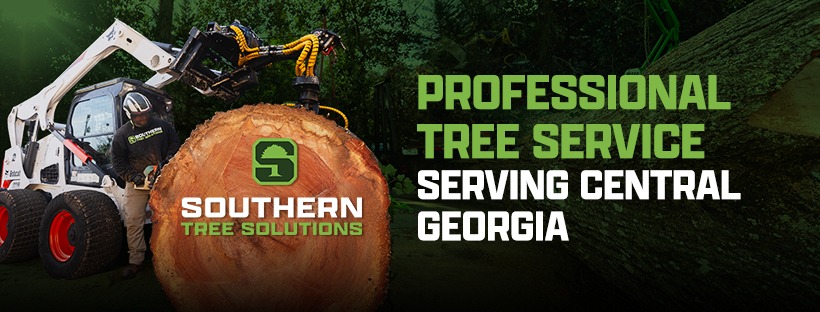 Southern Tree Solutions | Griffin GA