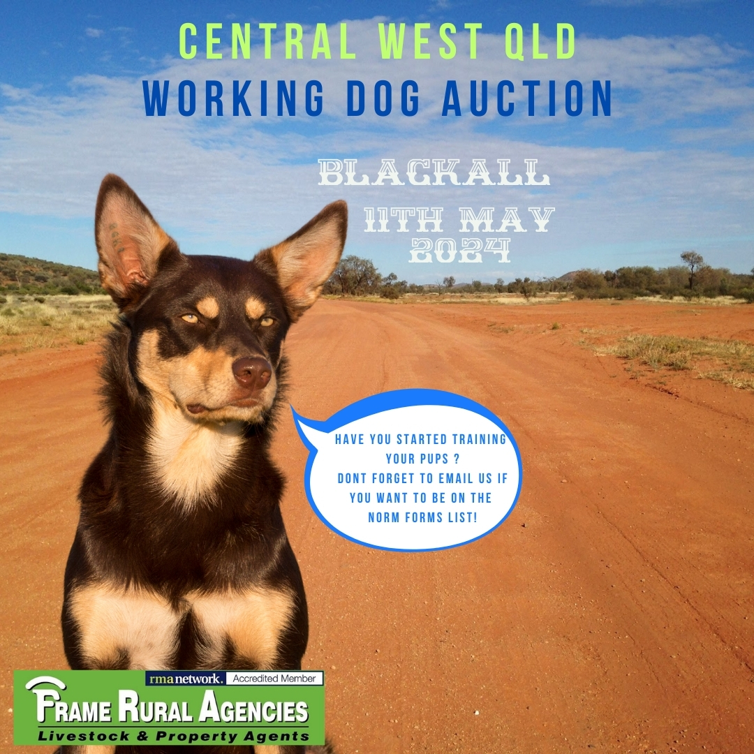 🦴 Central West Queensland Working... - Frame Rural Agencies
