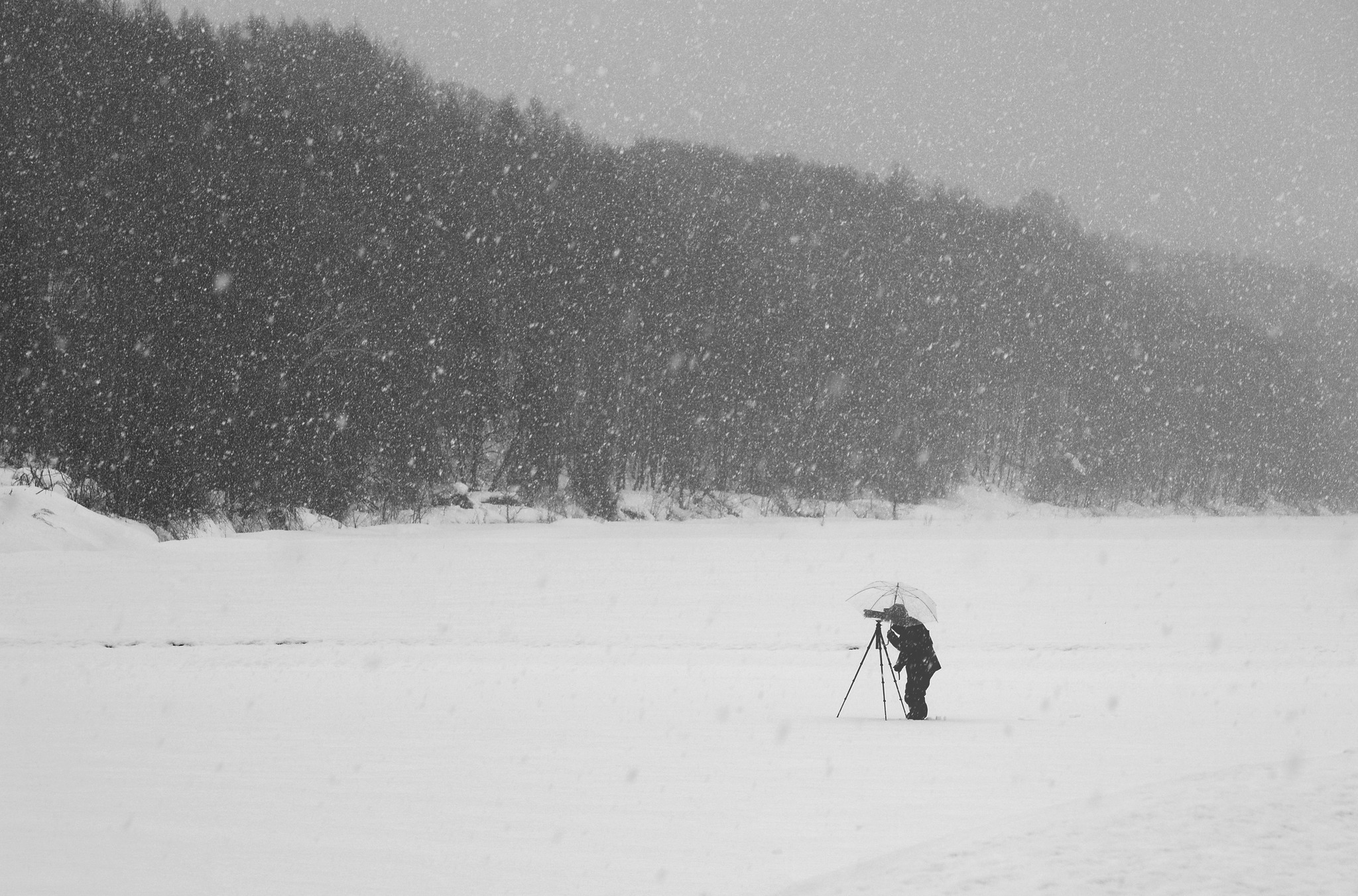 2018 3/12. Hokkaido Japan. Nikon P900