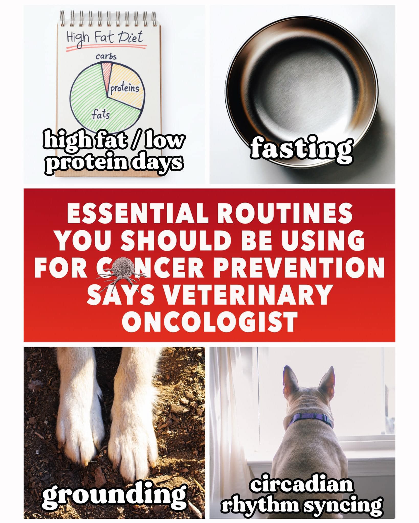 Cancer doesn't just “happen” overnight. It's often the result of years of small, repeated exposures that slowly shift the body out of balance, and one of the most overlooked pieces of this