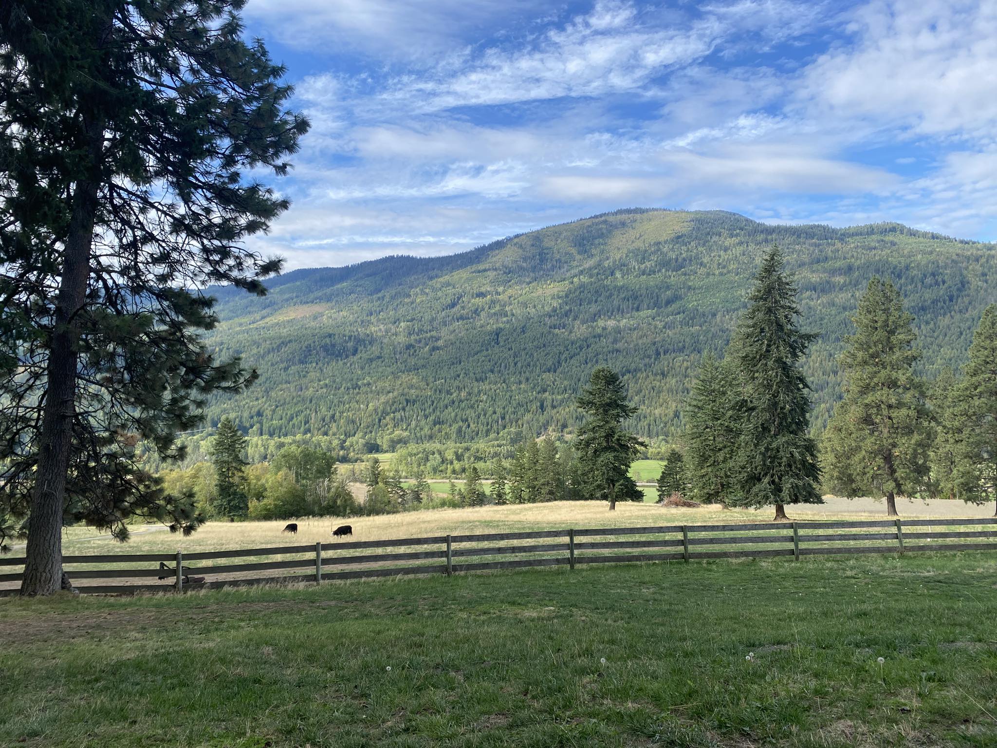 Wild Horse Mountain Adventures - *** FOUND CAMERA IN CLINTON ...