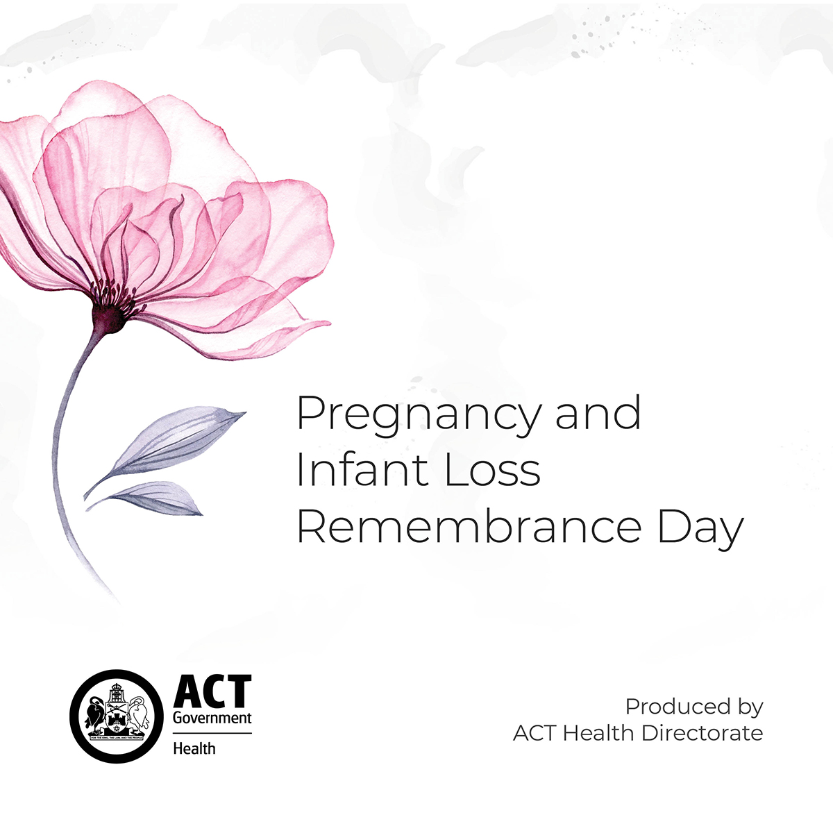 ACT - Today on International Pregnancy and Infant Loss Remembrance Day ...