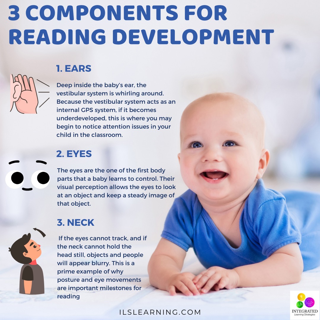 The Eyes, Ears, and Neck... - Integrated Learning Strategies