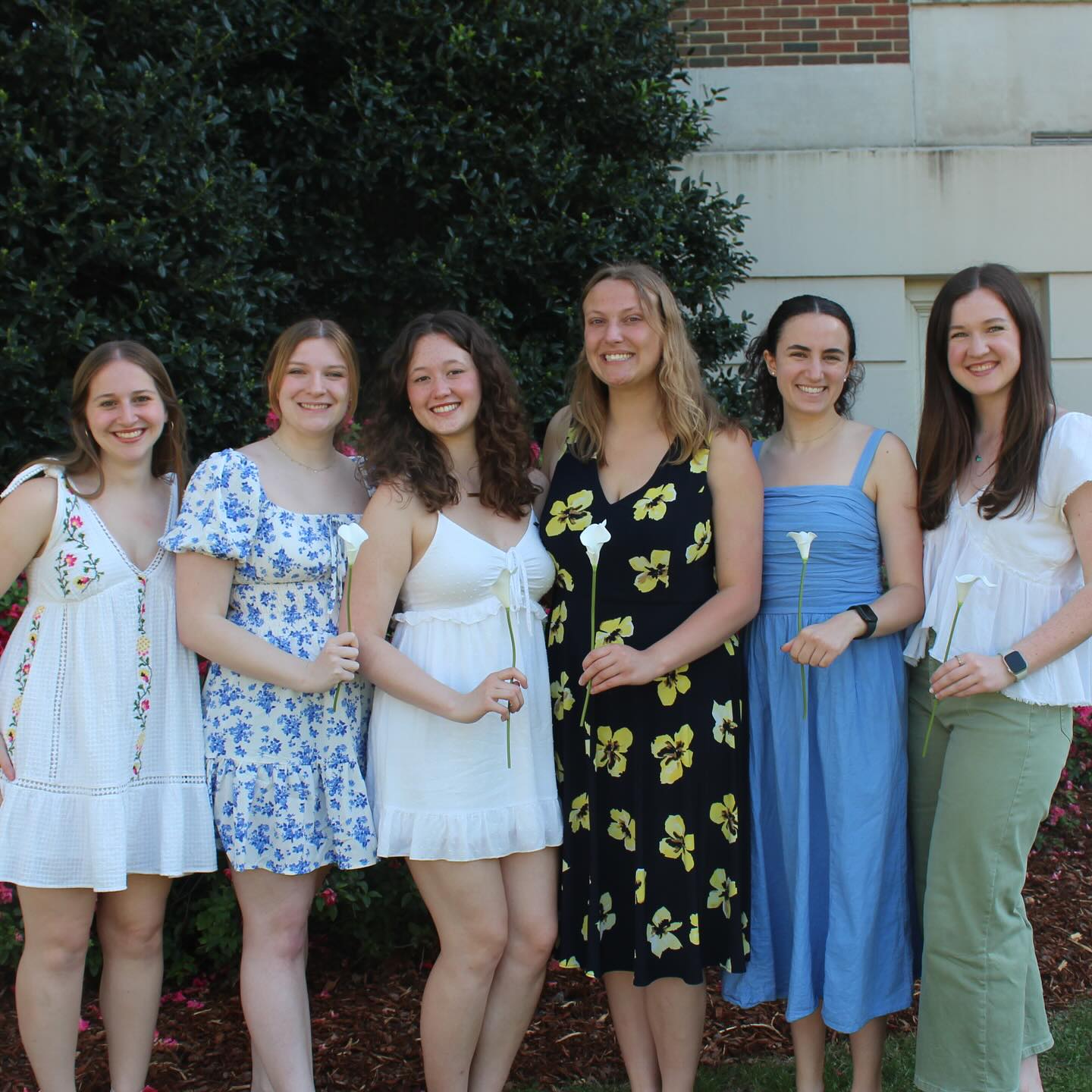 Alpha Omega Epsilon: Beta Rho Chapter at The University of Alabama ...