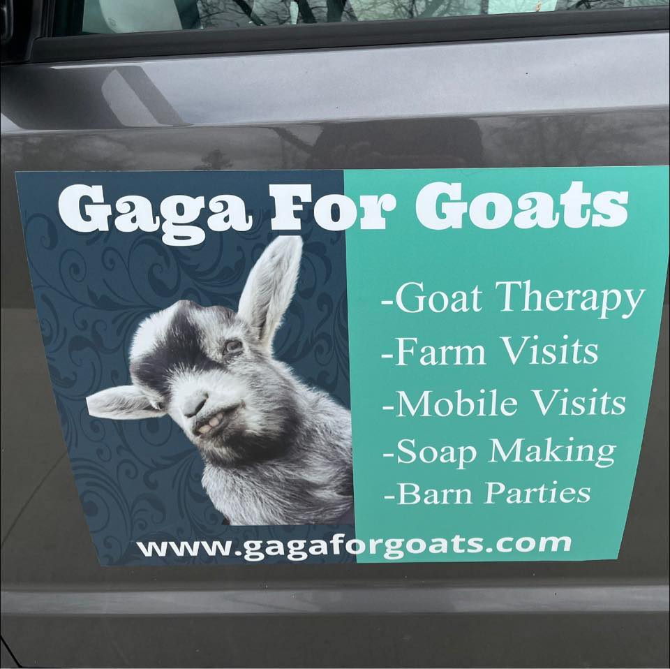 Way to go!!!! Keep it going, Guards!!!!... - Gaga For Goats-Goat ...