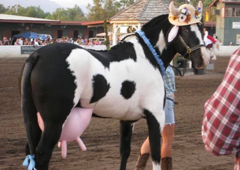 Carolina Pro Rodeo - CPR | Granite Falls NC