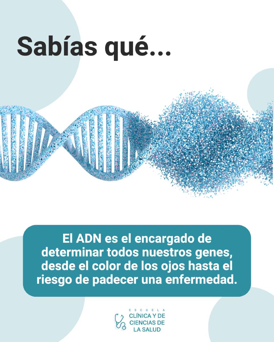 Escuela - 🧬 Hoy celebramos el Día Mundial del ADN ¿Sabías que si ...
