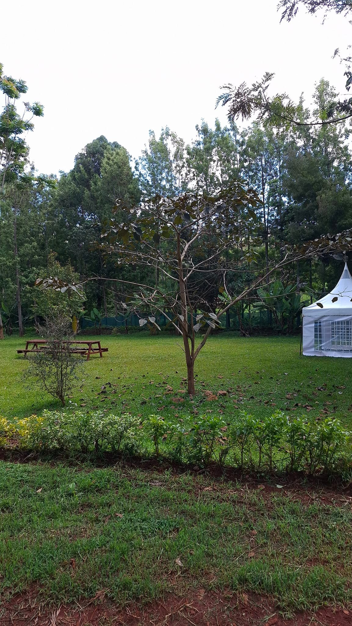 riverside-chania-resort-nyeri