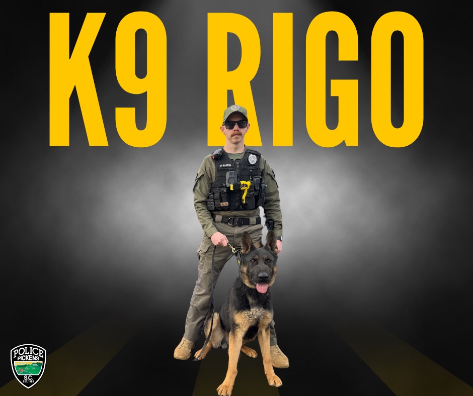 Pickens - ***Media Release*** Pickens Police Department’s K9 Rigo to ...