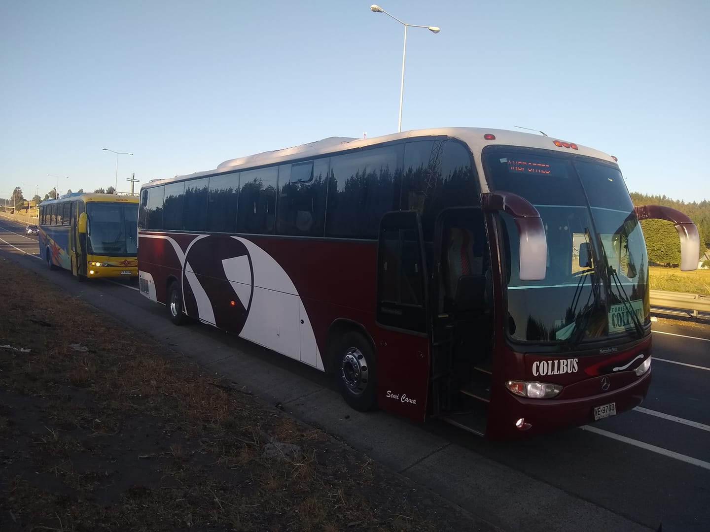 Buses Collbus