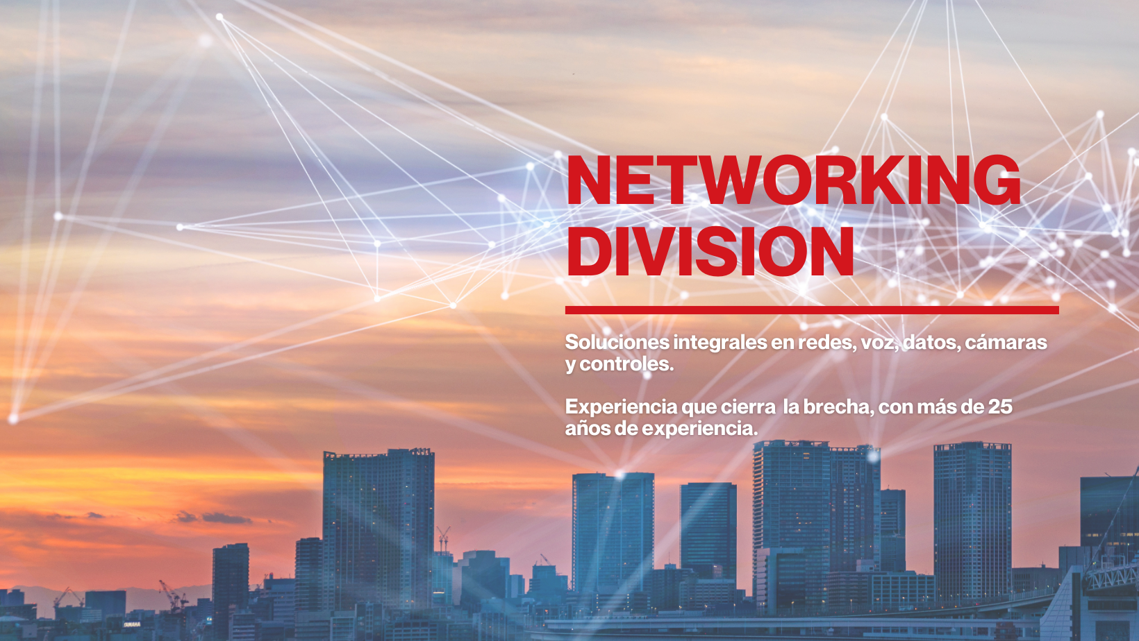 Netzone, S.A. | Guatemala City