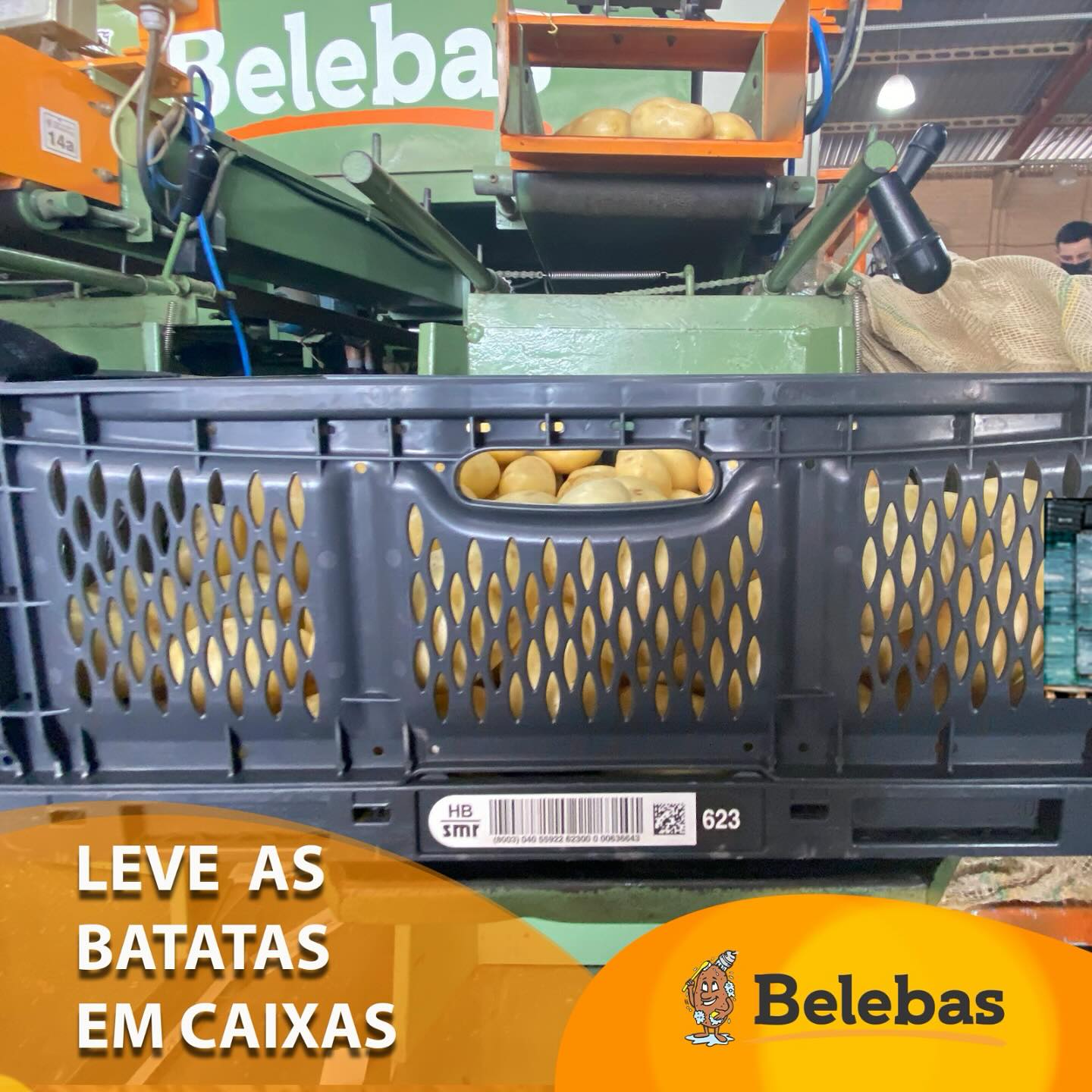 Belebas