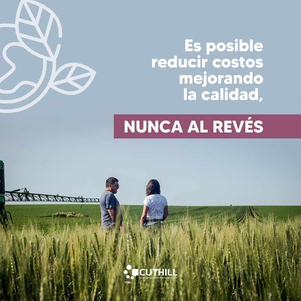 Cuthill - Desarrollamos planes de trabajo para cada necesidad, bajo un ...