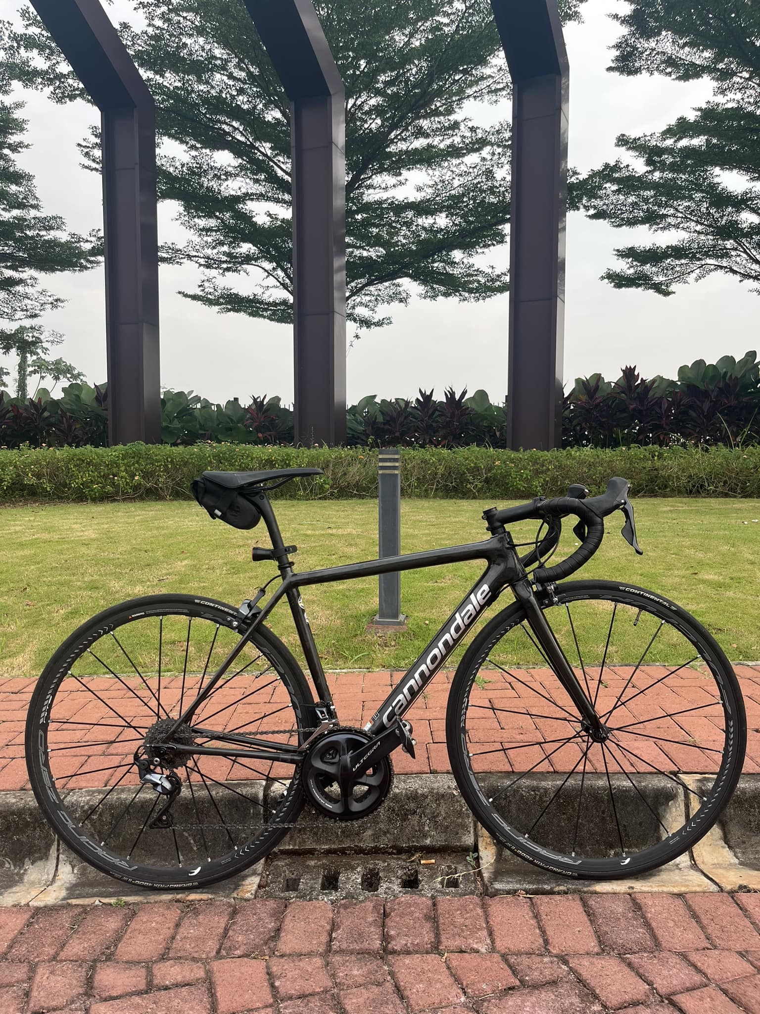 Cannondale Supersix Evo Himod 2019 bike modification and weight 