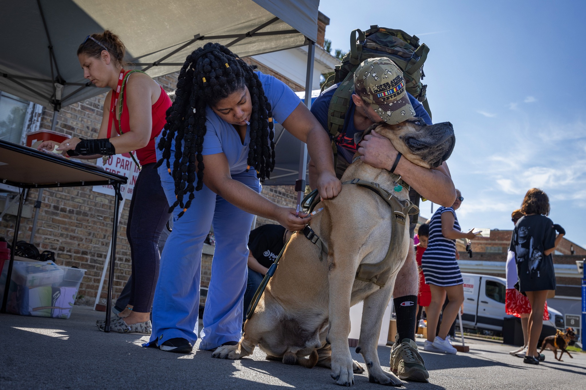 Shout out Hinsdale Humane Society for... - Hines VA Hospital