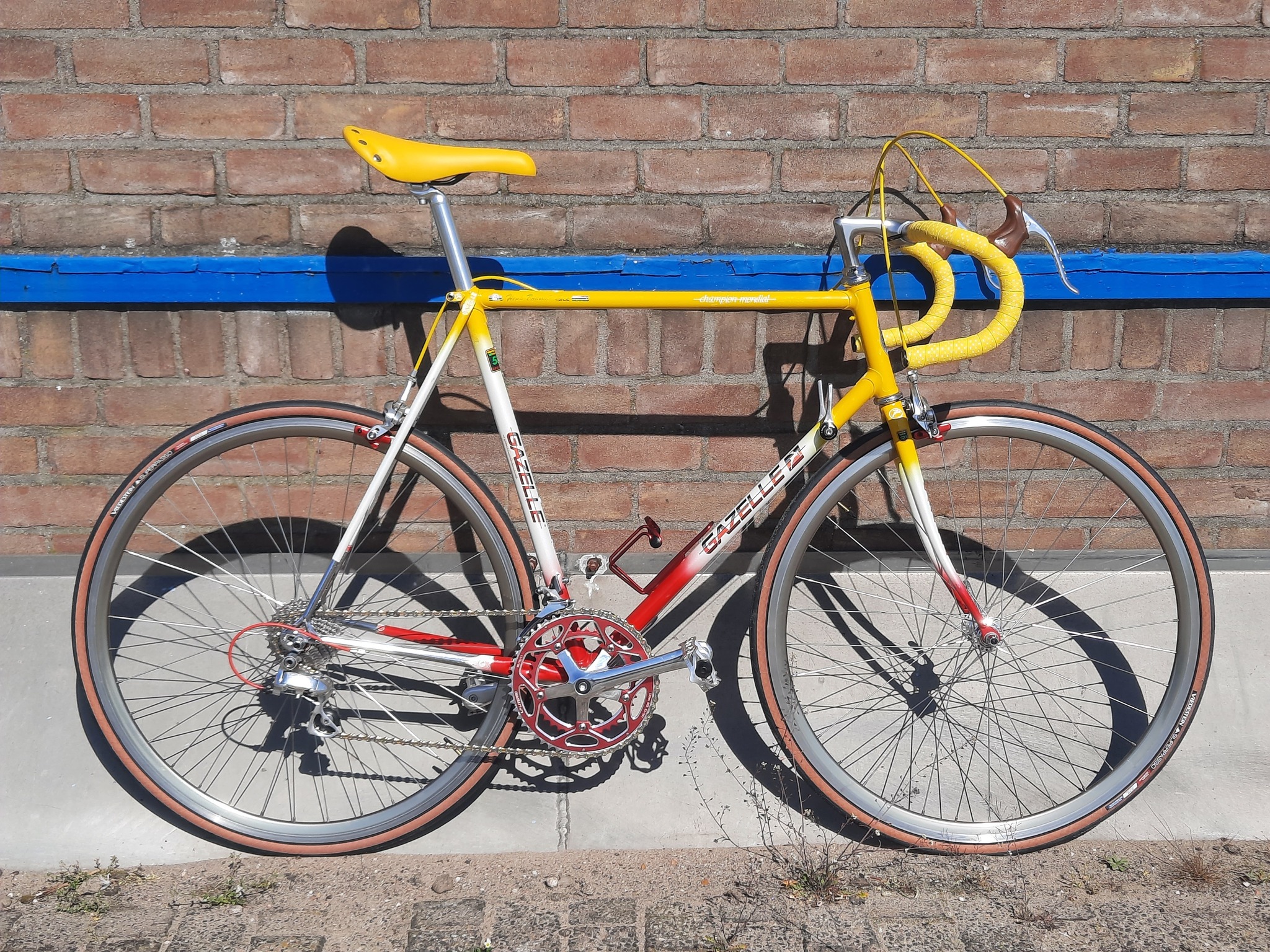 Gazelle Champion Mondial AA-special bike in rare color