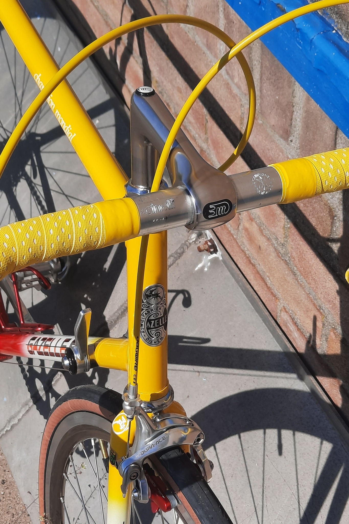 Gazelle Champion Mondial AA-special bike in rare color