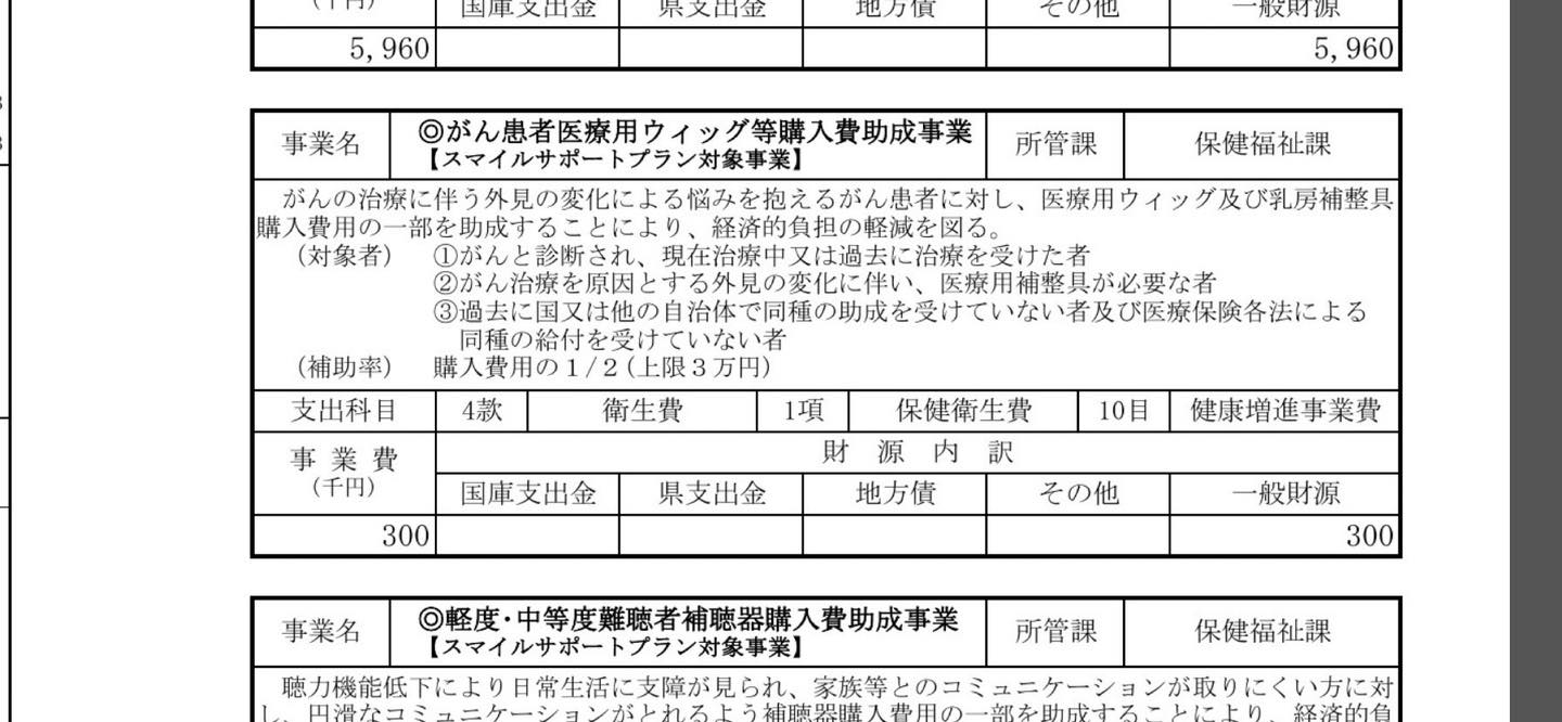 令和7年度予算が決まり、私が9月の定例会で一般質問した「がん患者医療 