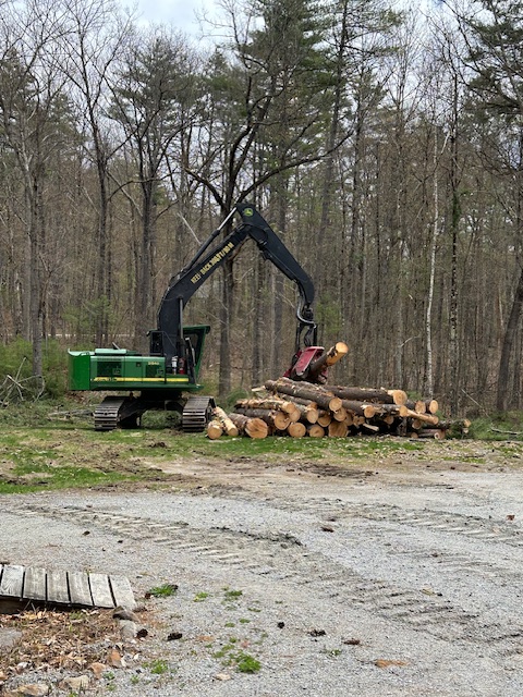 Maple Row Management, LLC