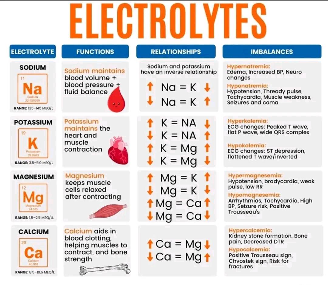 cardiology-electrolytes-ecg-ekg-cardiology