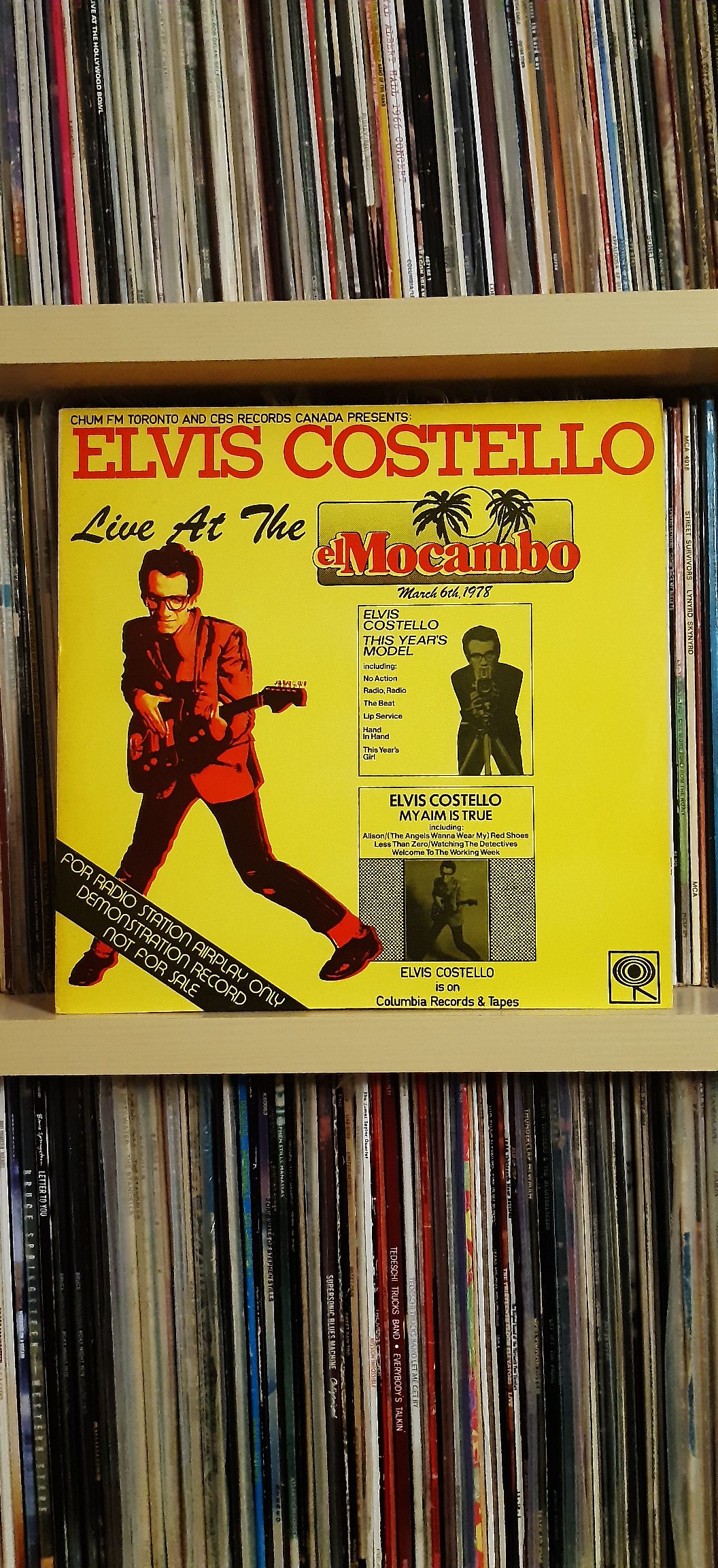 Elvis Costello at San Jose Center for Performing Arts 1978