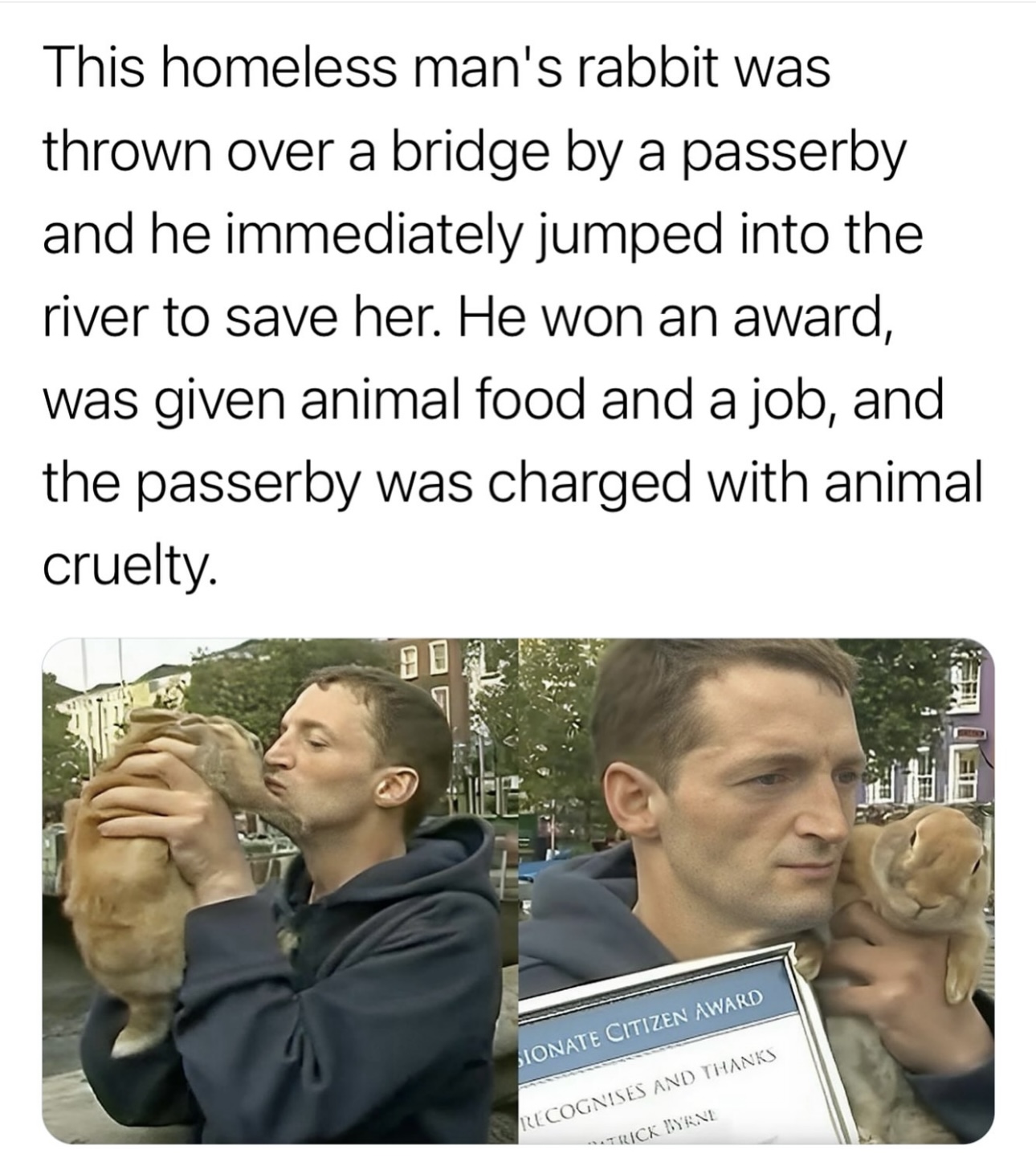 The Animal Rescue Site by GreaterGood