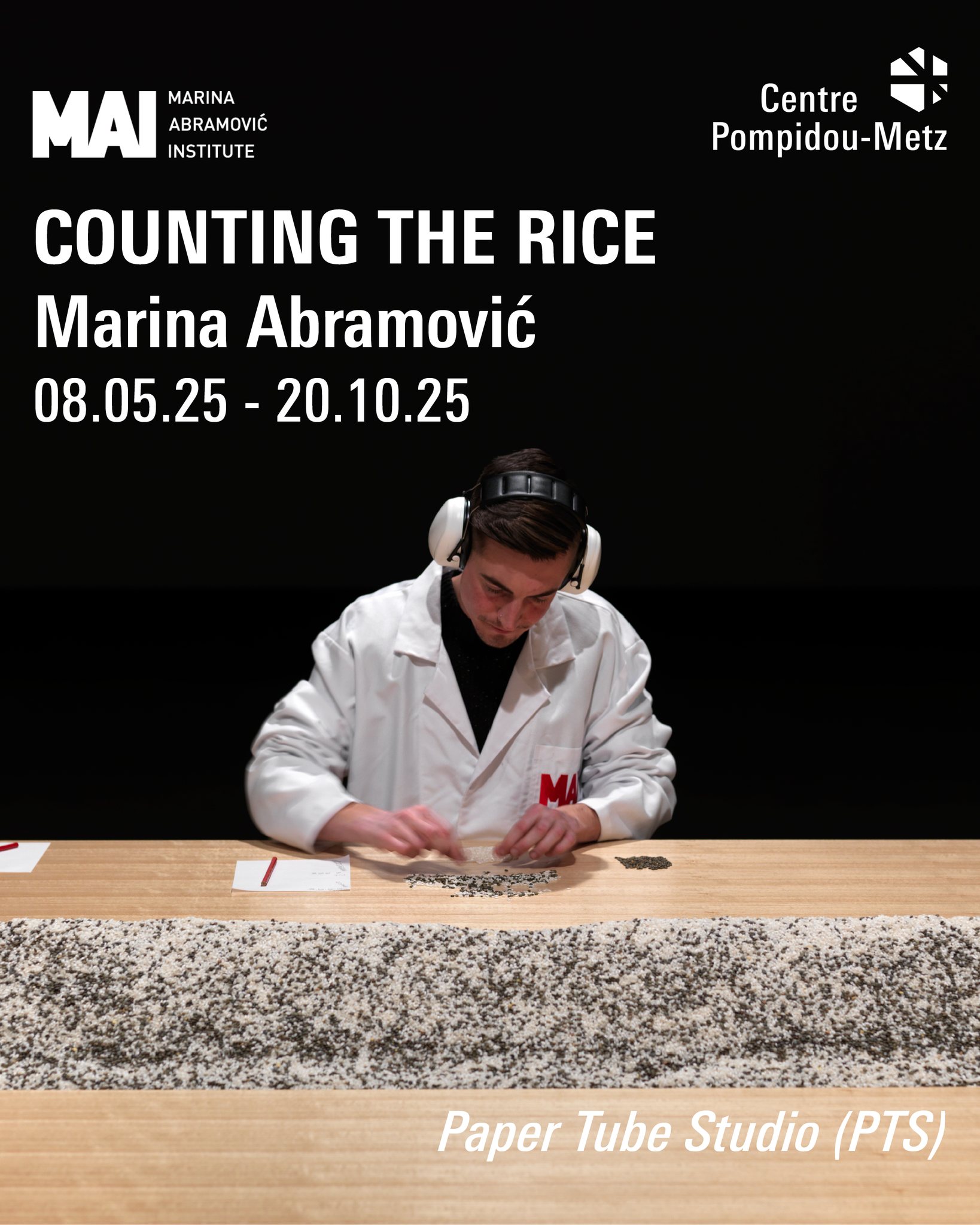 Centre - Marina Abramović – Counting the Rice Figure majeure de la ...