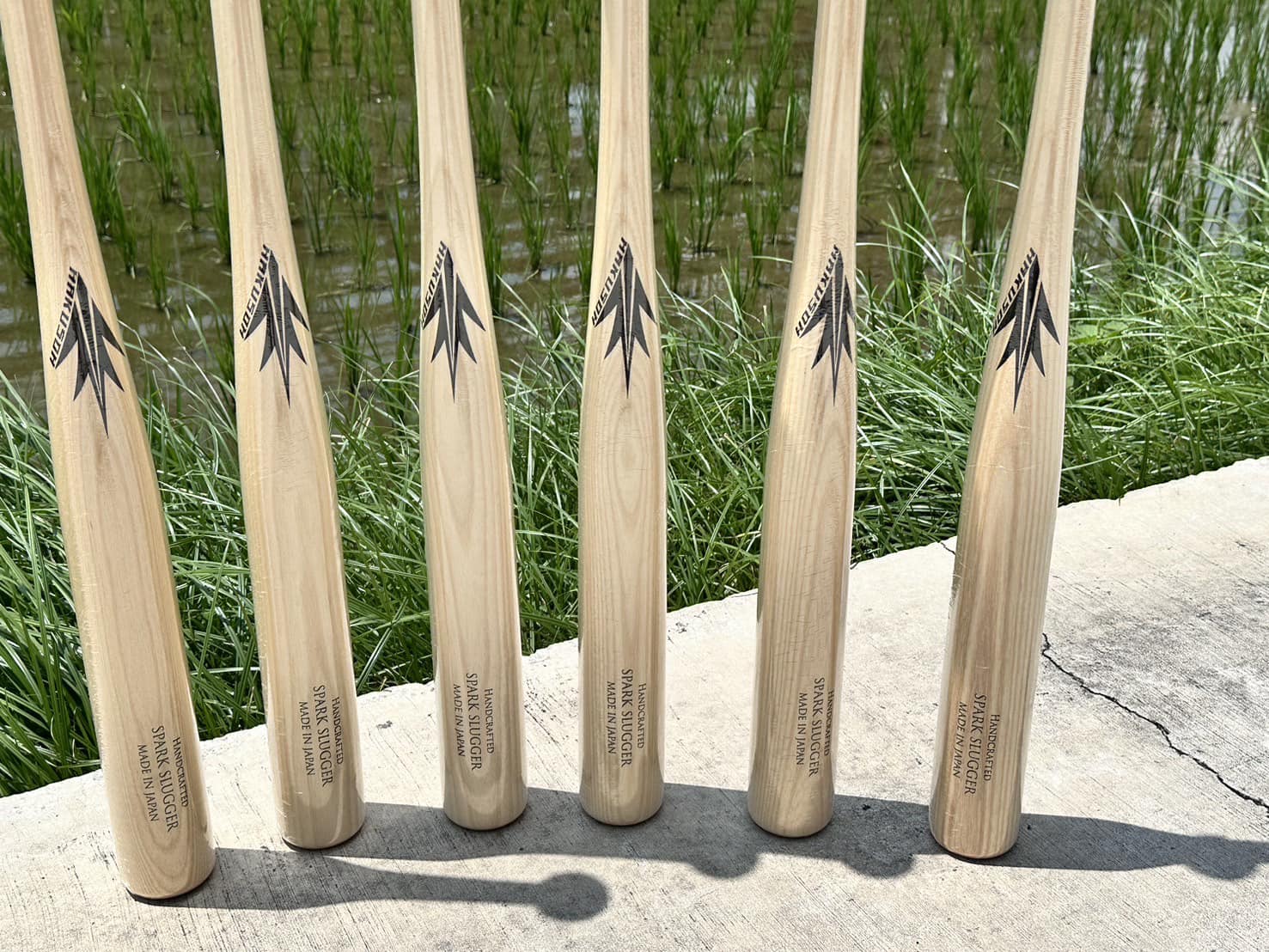 Hakusoh Bat | San Diego CA