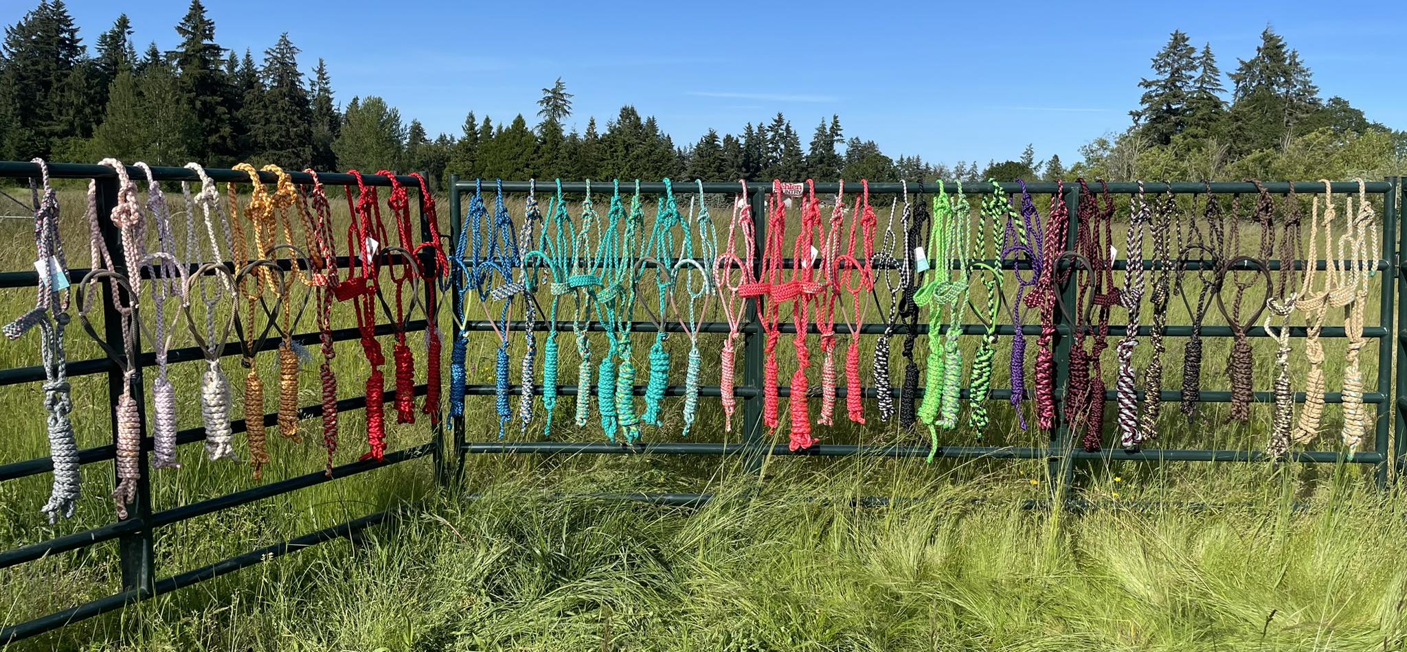 Walla Walla Pony Club added a new... - Walla Walla Pony Club