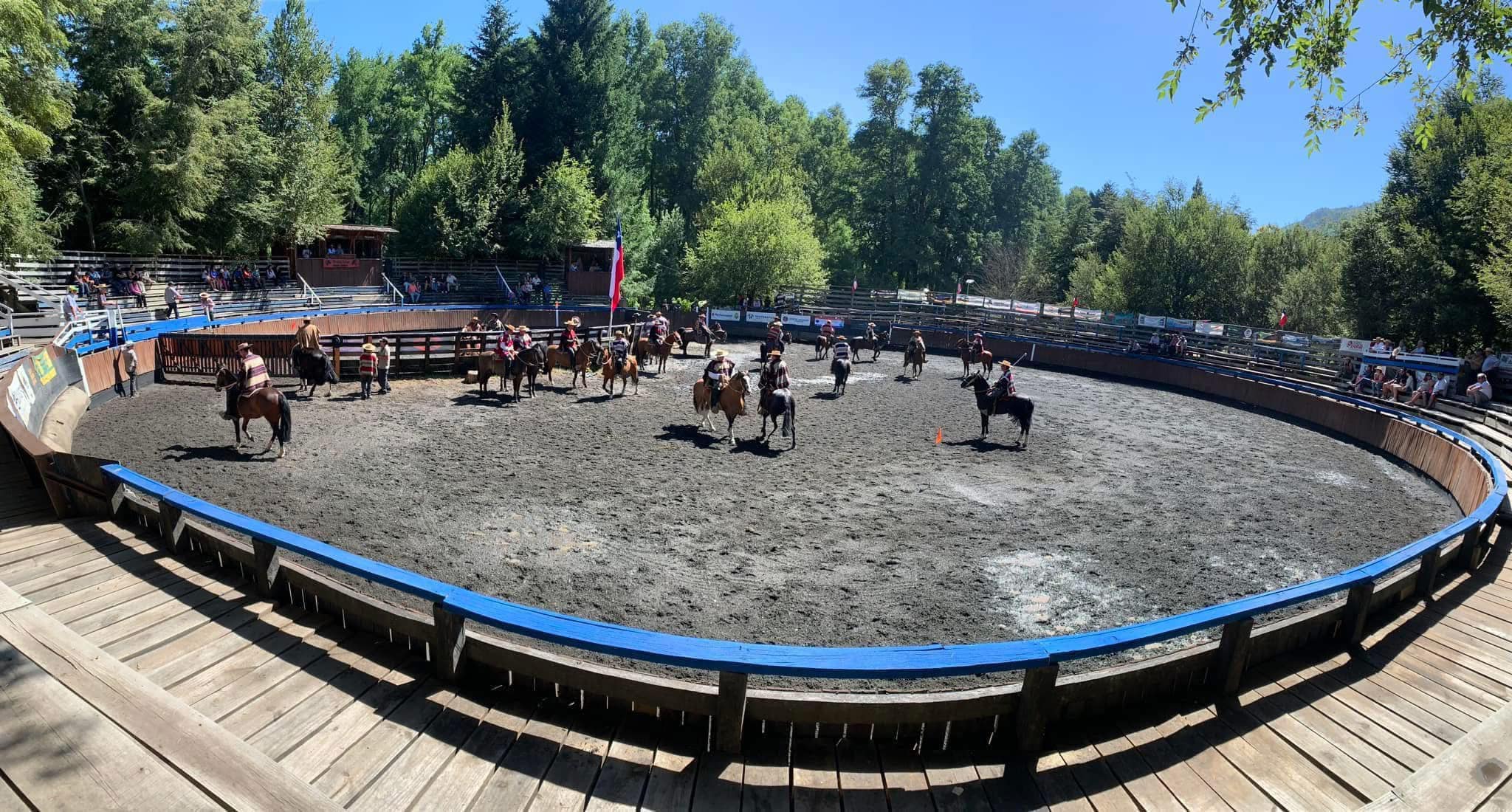 Asociación - El Club de Rodeo Curarrehue, invita al primer rodeo de la ...