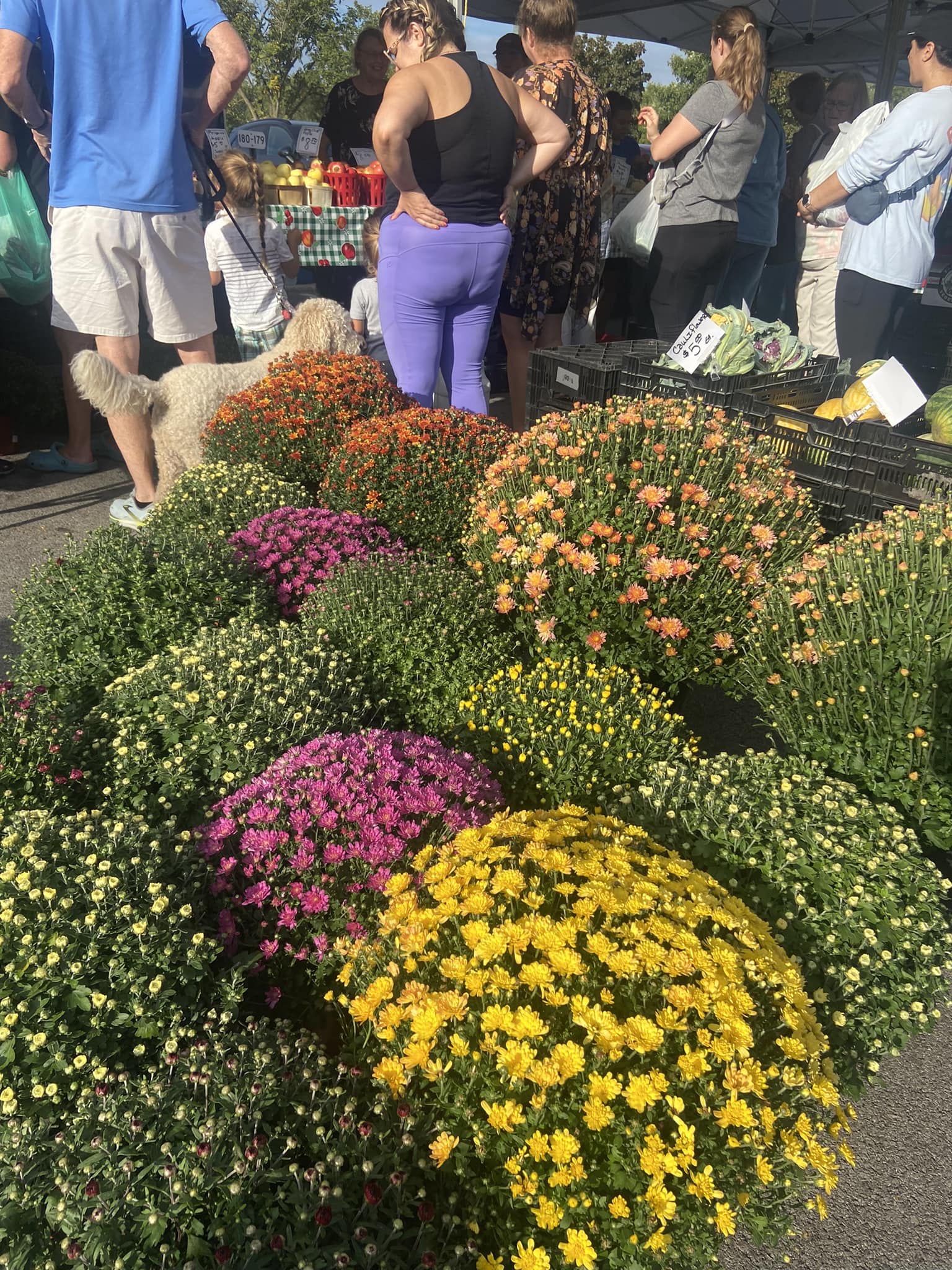 Park Ridge Farmers Market | Park Ridge IL
