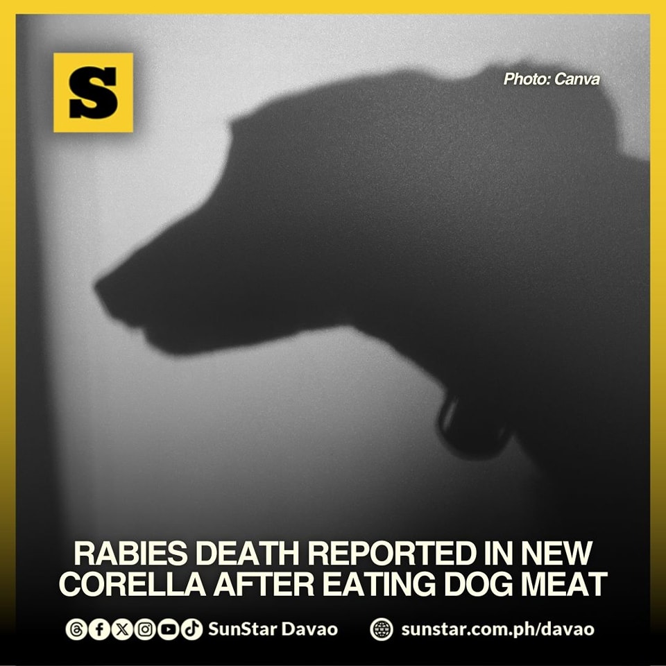 SunStar - RABIES DEATH REPORTED IN NEW CORELLA AFTER EATING DOG MEAT ...