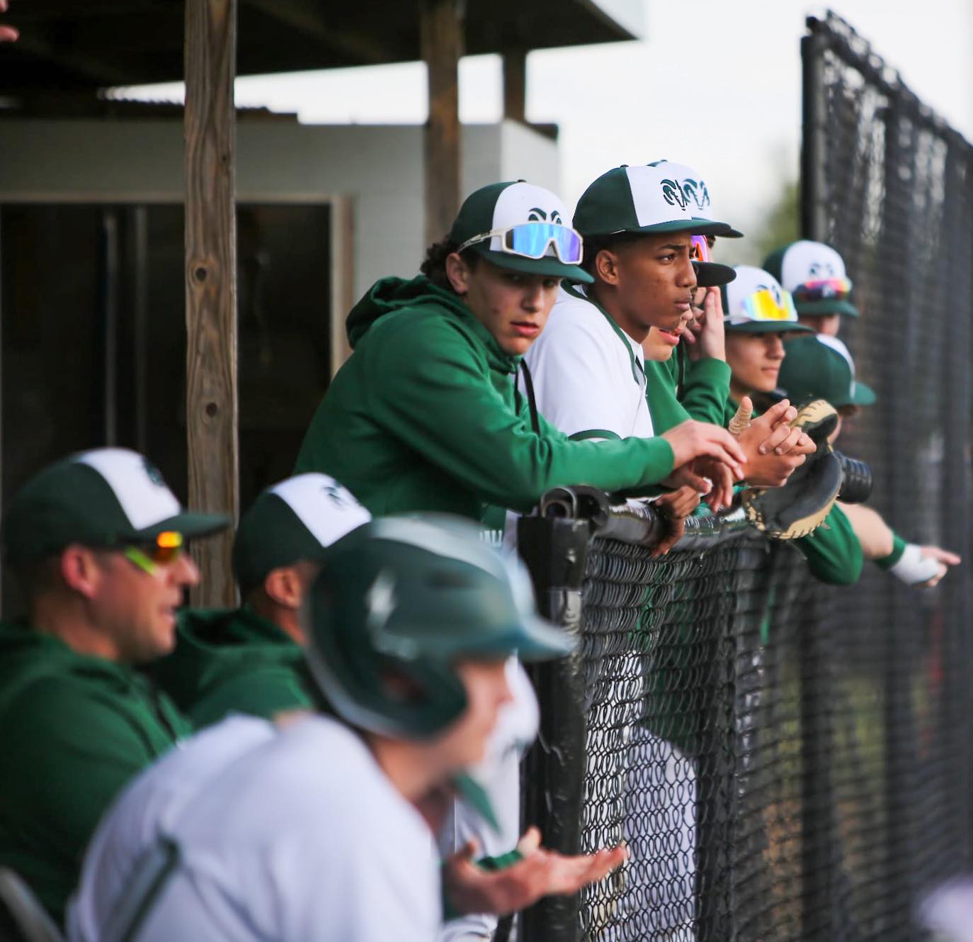 CD Rams Baseball Booster Club | Harrisburg PA