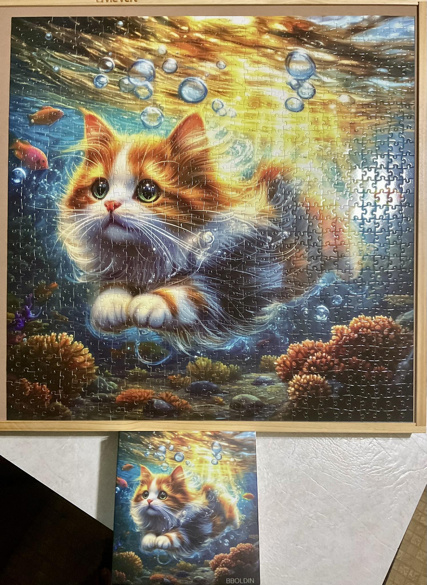 クリバンキャット1000ピース ジグソーパズル LOTS OF KITTIES Amazon