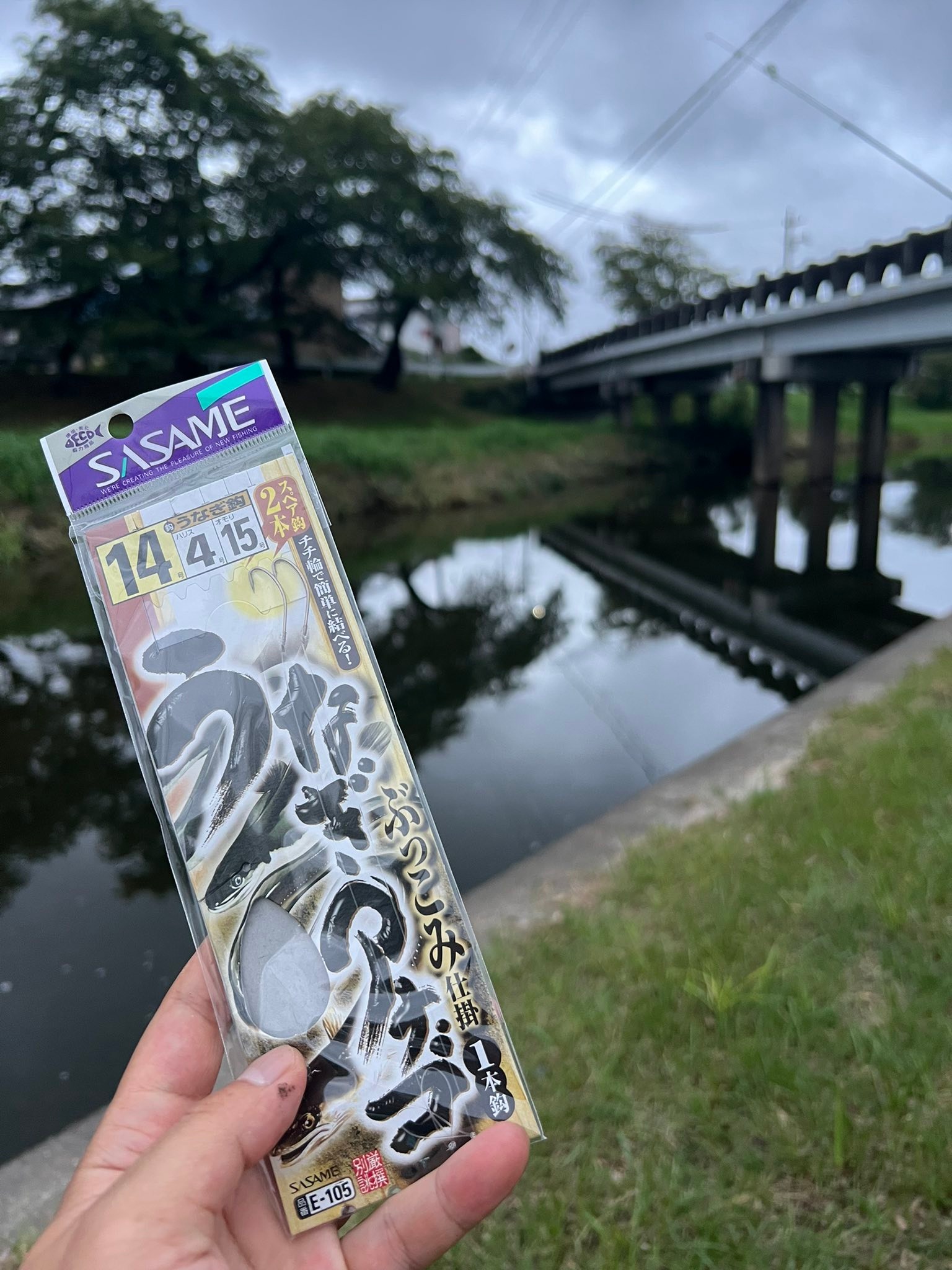 豊川 うなぎ 釣り
