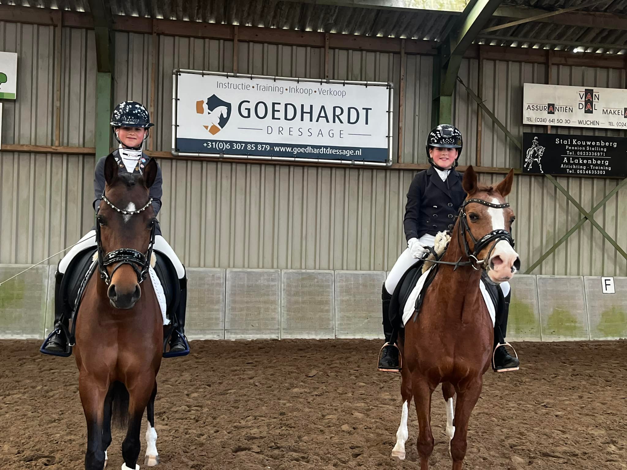 goedhardt-dressage-overasselt